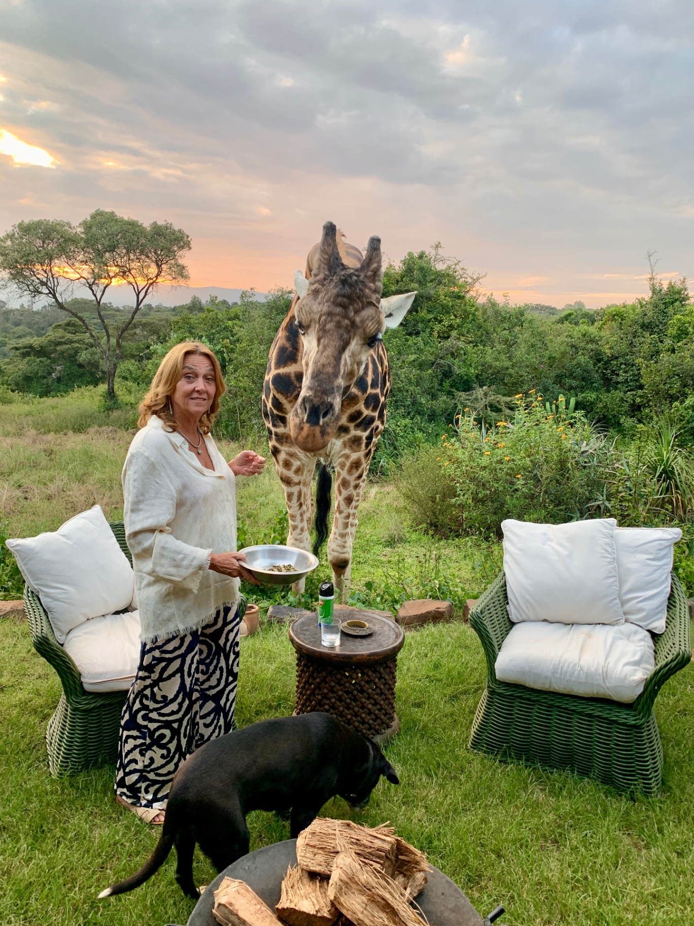 Karin with a giraffe visiting the garden at sundown