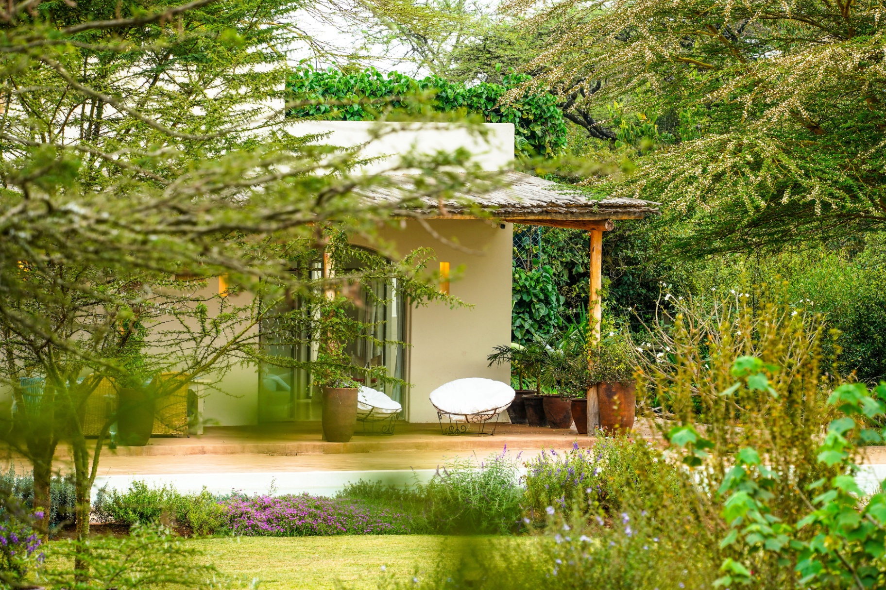 Private suite terrace tucked among the acacia garden