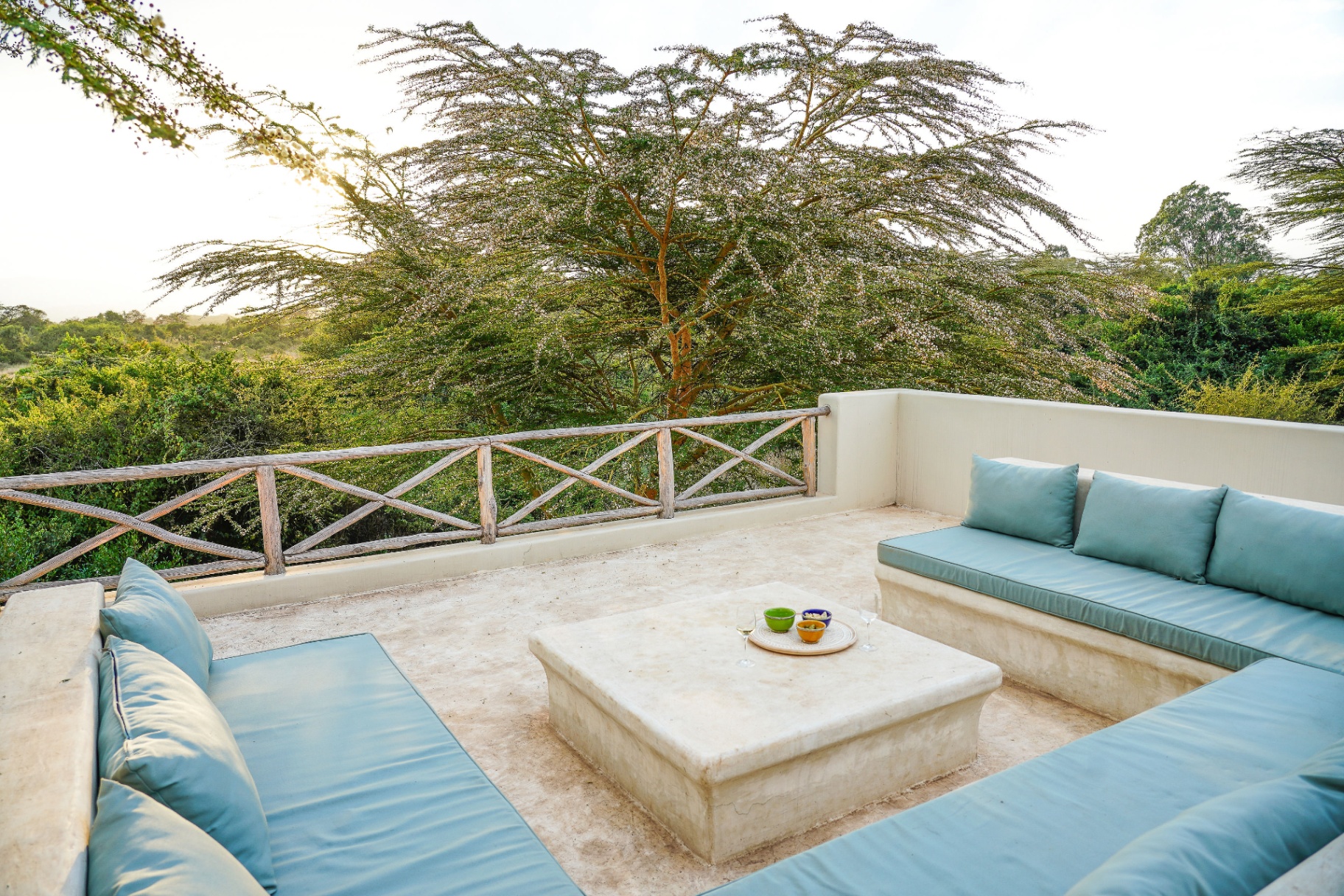Rooftop lounge with blue cushions and acacia views