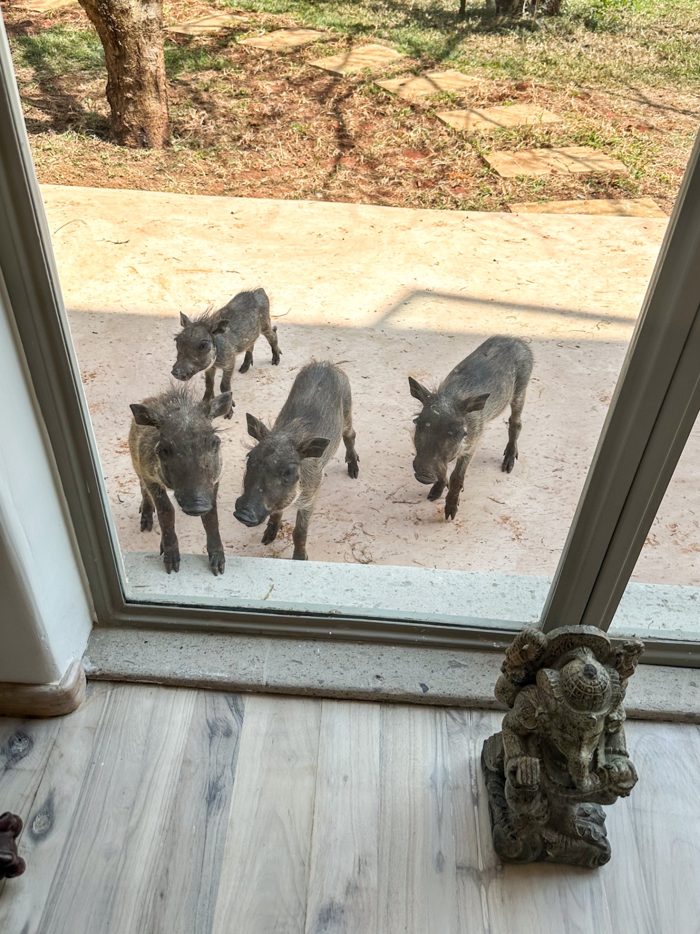 Wildlife around the estate